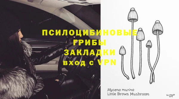 прущий лед Галич