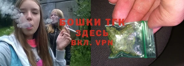 мяу мяу кристалл Переславль-Залесский