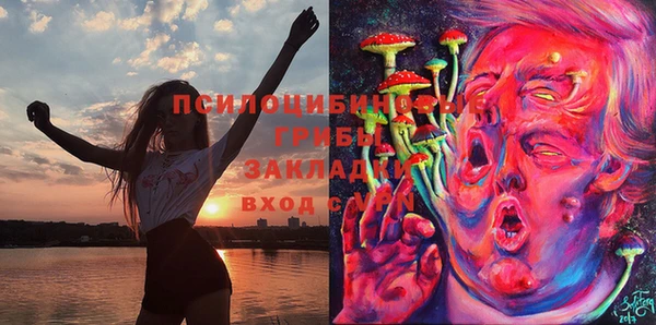 прущая мука Гатчина