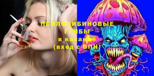 герыч Пересвет